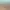 Monster Hunter Stories header image