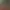 Grid Legends header image
