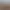 Jurassic World Evolution 2 header image