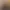 Mad Max header image