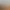 Expeditions: A MudRunner Game header image