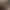 Judgment header image