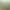 #Drive Rally header image