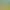 Story of Seasons: Pioneers of Olive Town header image