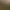 Nightingale header image