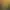 Pokémon Mystery Dungeon: Rescue Team DX header image