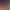 Star Trucker header image