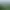 Visions of Mana header image