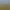 Harry Potter: Quidditch Champions header image