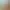 Tales of the Shire header image