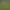 Shiness: The Lightning Kingdom header image