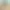 Monster Crown header image