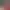 Gravity Rush 2 header image
