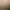 The Elder Scrolls Online: Elsweyr header image