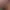 Jump Force header image