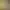 Wildermyth header image