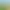 Animal Crossing: New Horizons header image