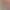 Chicory: A Colorful Tale header image