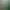 Ni no Kuni II: Revenant Kingdom header image
