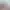 Wavetale header image