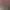 Dragon Quest Heroes II header image