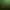 Serum header image