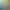 Gnosia header image