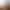 Crusader Kings III header image