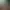 Shadow Labyrinth header image