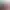 Locomoto header image