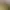 Journey to the Savage Planet header image