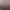 GreedFall II: The Dying World header image