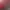 Need for Speed: Most Wanted header image