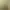 Grand Theft Auto V header image