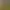 Age of Empires IV header image
