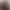 Prototype 2 header image