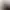 Assassin's Creed II header image