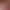 NBA Playgrounds header image