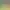 Ni no Kuni: Wrath of the White Witch Remastered header image