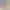 Donkey Kong: Bananza header image