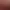 Wild Hearts S header image