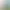Aniimo header image