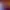 Little Orpheus header image