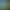 Adventures of Pip header image