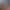 Farmagia header image