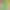 Mario + Rabbids Kingdom Battle header image