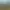 Unicorn Overlord header image