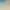 Flock header image