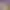 Two Point Campus header image
