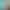 Temtem